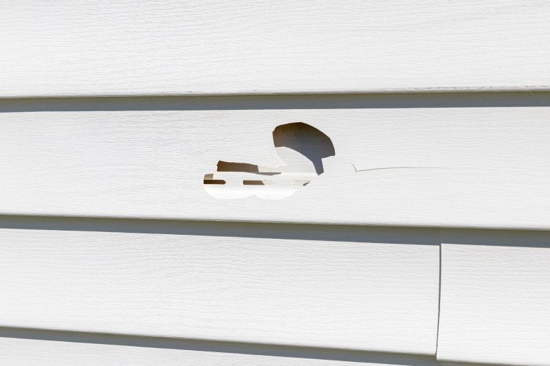 Siding Repair